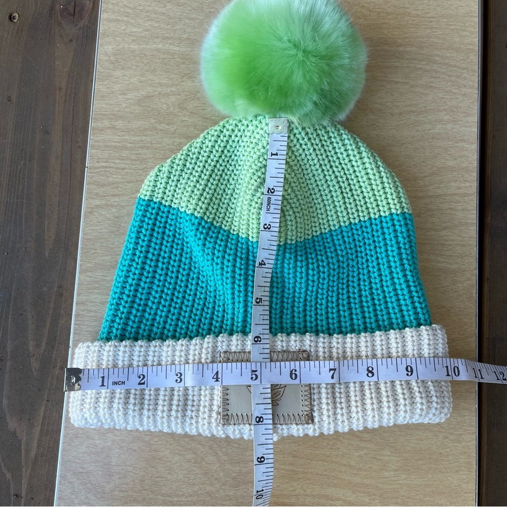 Disney X Love Your Melon Princess Tiana Pom Pom Beanie Knit Hat NWOT OS - Picture 8 of 12